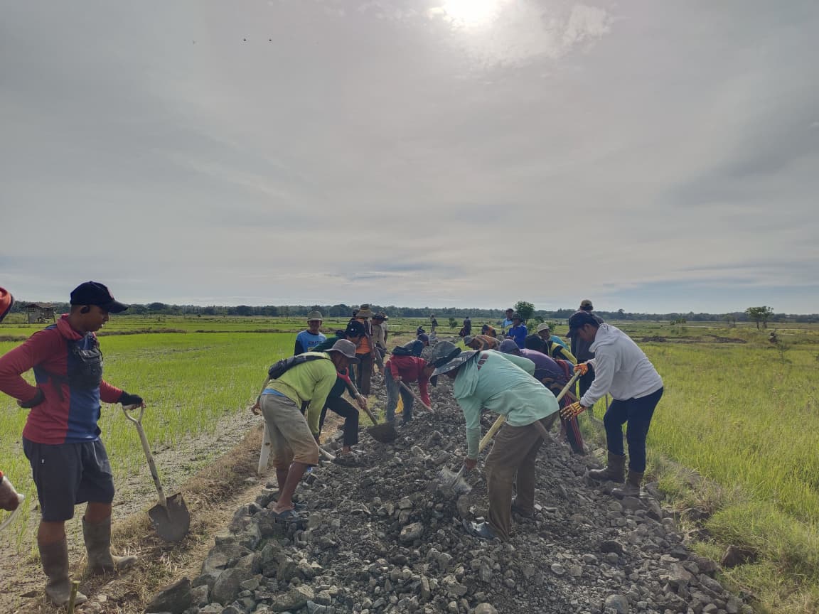 Pemdes Mario dan Masyarakat Gotong Royong Lakukan Penhamparan Batu Laterit di Jalan Tani Tanete